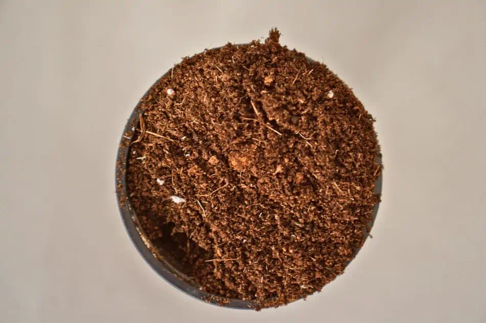 A topview image of soil in a pot. 
