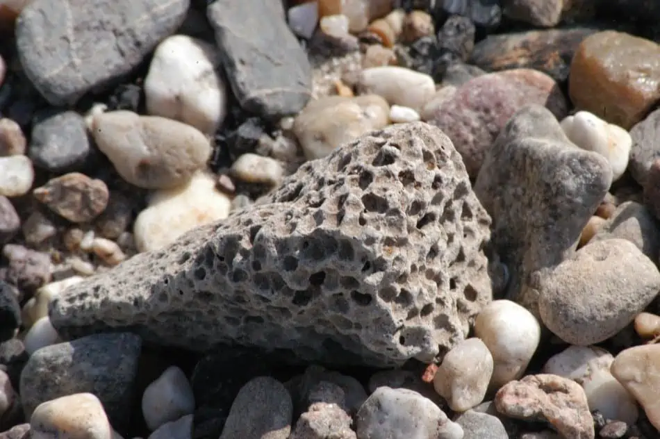 A close up image of a Pebble. 