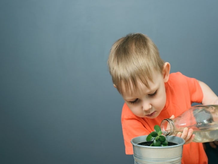 A boy watering the plant gently.