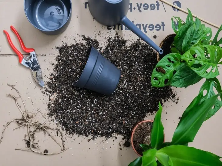 A scattered soil with the pot. 