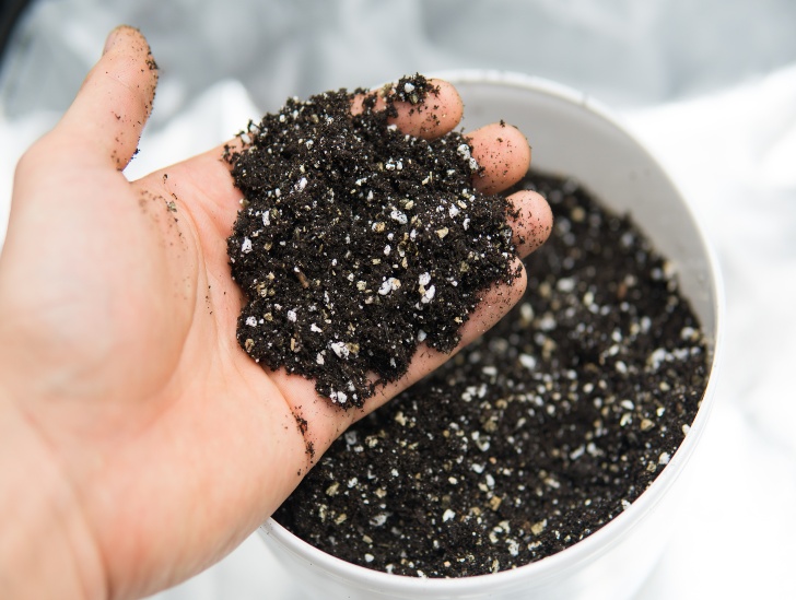 A soil with a mix of perlite. 
