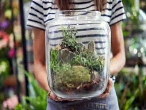 A person holding a terrarium.